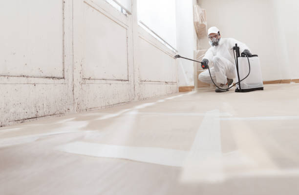 24/7 Emergency Mold Remediation experts in Sesser, IL